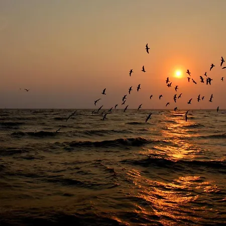 De-lux M - Easy - Rent Апартаменты Нехоже