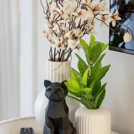 De-lux M - Easy - Rent