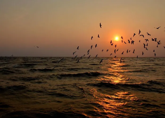 De-lux M - Easy - Rent Апартаменты Нехоже