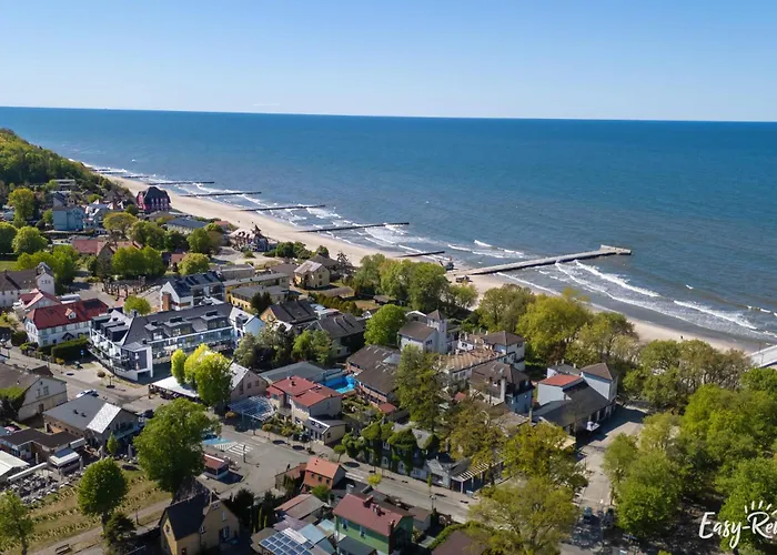 De-lux M - Easy - Rent *