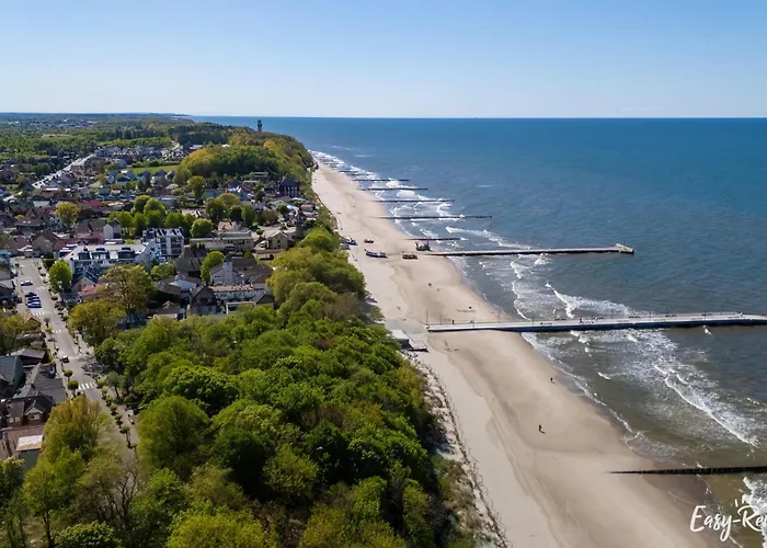 De-lux M - Easy - Rent *